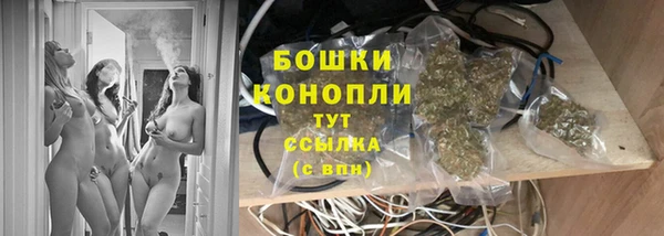 молекула духа Каменногорск