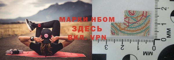 молекула духа Каменногорск