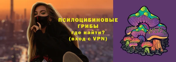 метадон Каменка