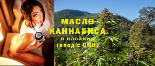 метадон Каменка
