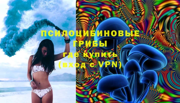 дмт Каменск-Шахтинский