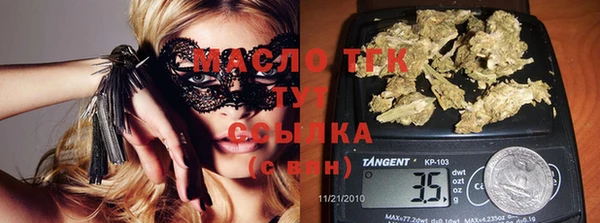 молекула духа Каменногорск