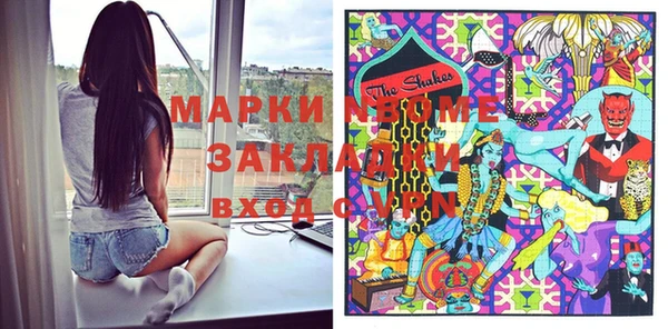 молекула духа Каменногорск