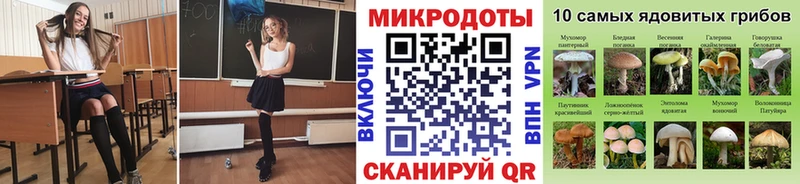 Купить  Кашин  Галлюциногенные грибы мухоморы 