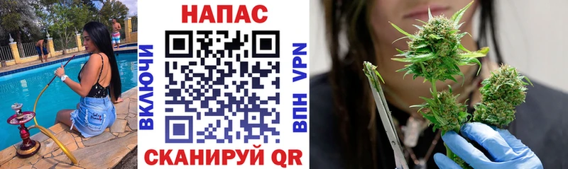 Купить  Кашин  Бошки Шишки тримм 